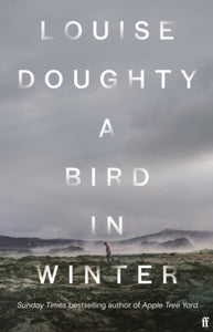 Bird in Winter - Louise O'Doughty