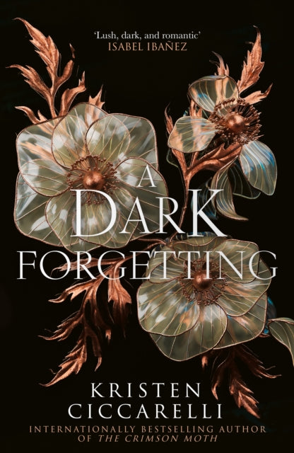 Dark Forgetting - Kristen Ciccarelli (Hardcover) - February 12th, 2026
