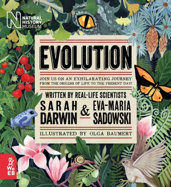 Evolution - Sarah Darwin (Hardcover)