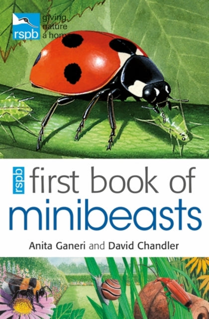 First Book of Minibeasts - Anita Ganeri
