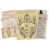 Mother of Frankenstein Volume 1