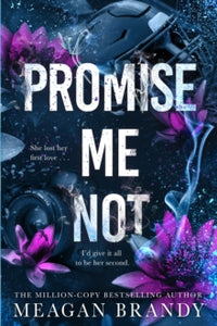 Promise Me Not - Meagan Brandy