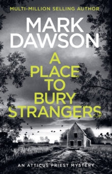 Place to Bury Strangers - Mark Dawson