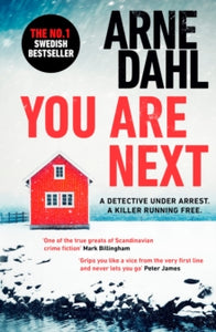 You Are Next - Arne Dahl