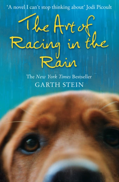 Art of Racing in the Rain - Garth Stein