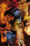 Sandman Vol. 6: Fables & Reflection (30th Ann.) - Neil Gaiman