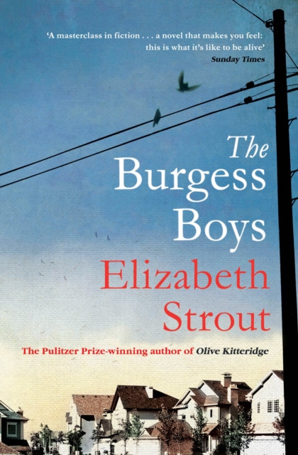 Burgess Boys - Elizabeth Strout