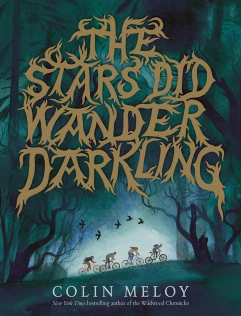 Stars Did Wander Darkling - Colin Meloy (Hardcover)
