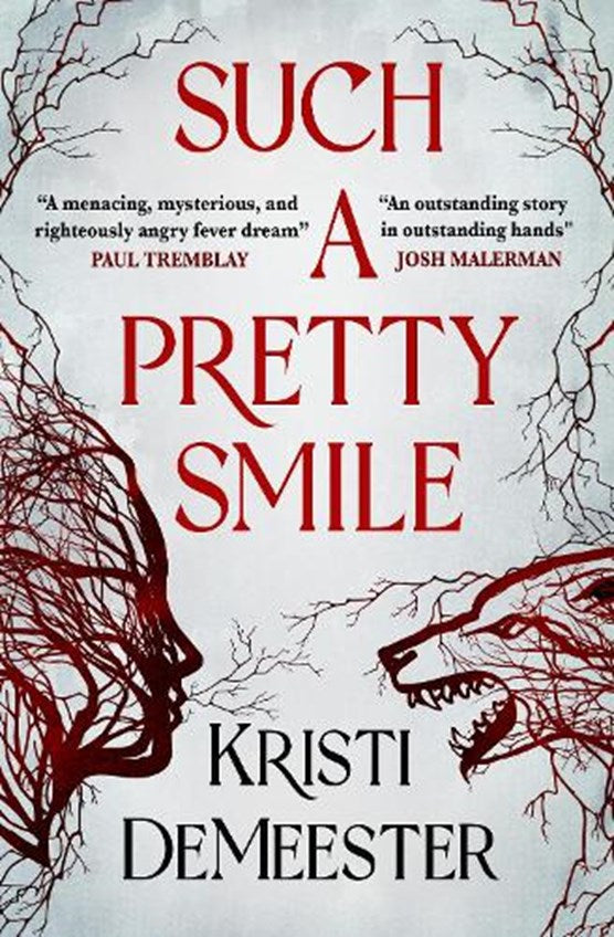 Such a Pretty Smile - Kristi Demeester