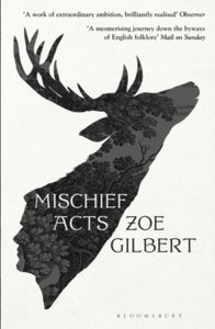 Mischief Acts - Zoe Gilbert